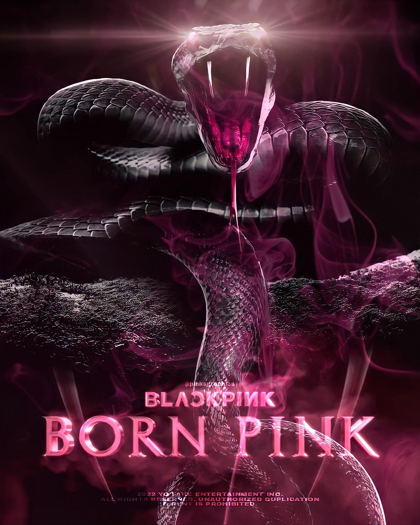 tai mien phi album born pink blackpink band